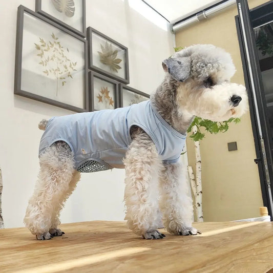 Dog Post Operation Recovery Suit Anti Licking Protective Clothing