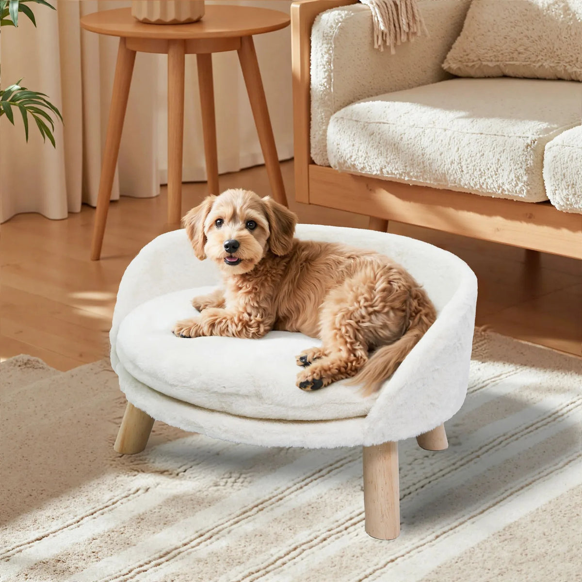 Borwart Elevated Dog Cat Sofa Bed with Removable Padded Cushion