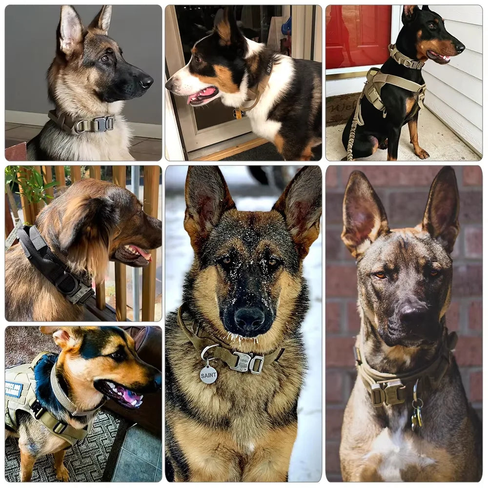 PetraVel Adjustable Tactical Dog Collar And Nylon Leash Set