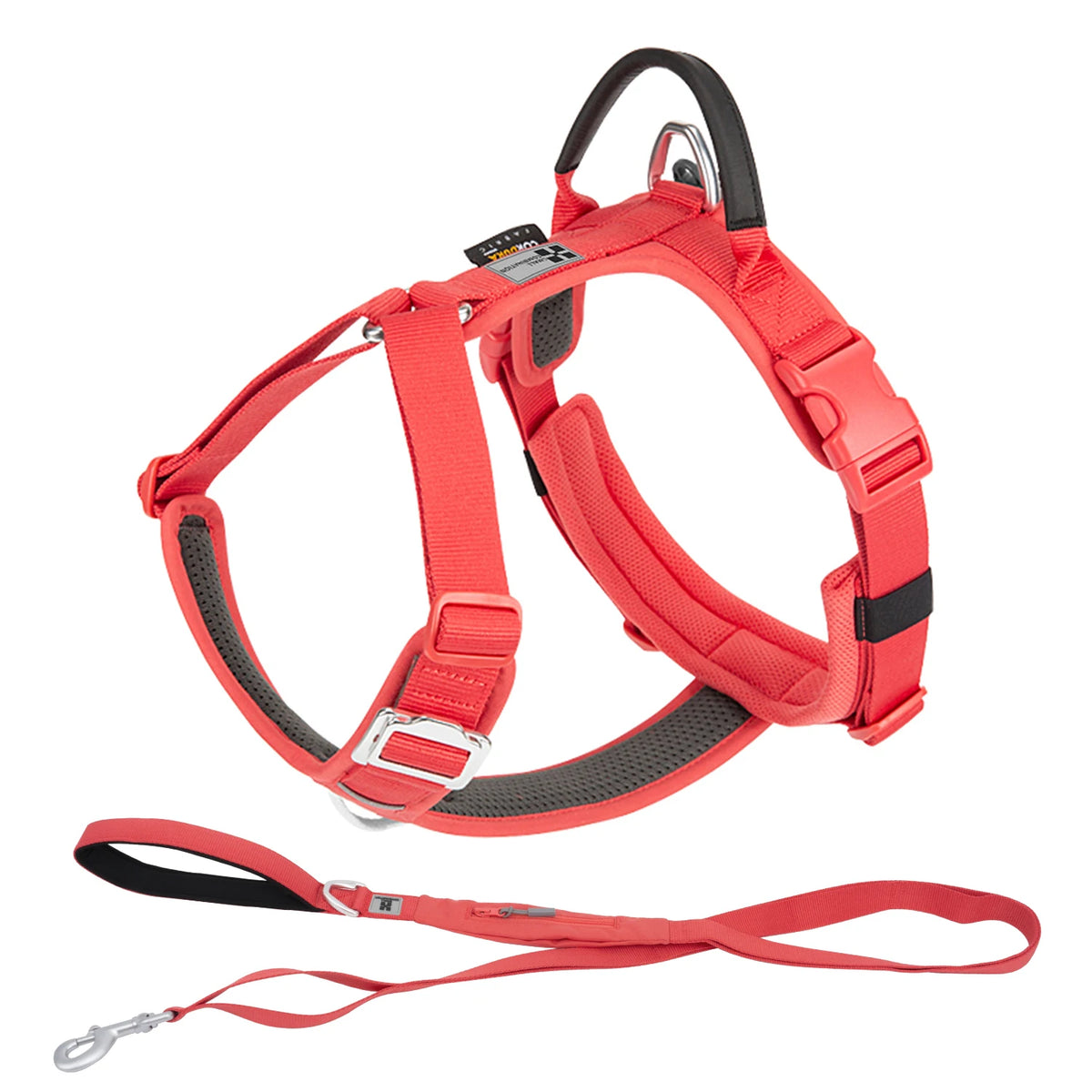 SMALL COMBINATION Reflective No Pull Dog Harness and Leash Set