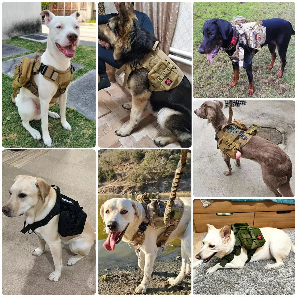 Petavel Dog Tactical Molle Pouch Set Harness Belt Military Gear