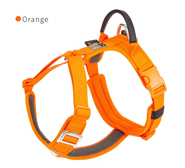 SMALL COMBINATION Reflective No Pull Dog Harness and Leash Set