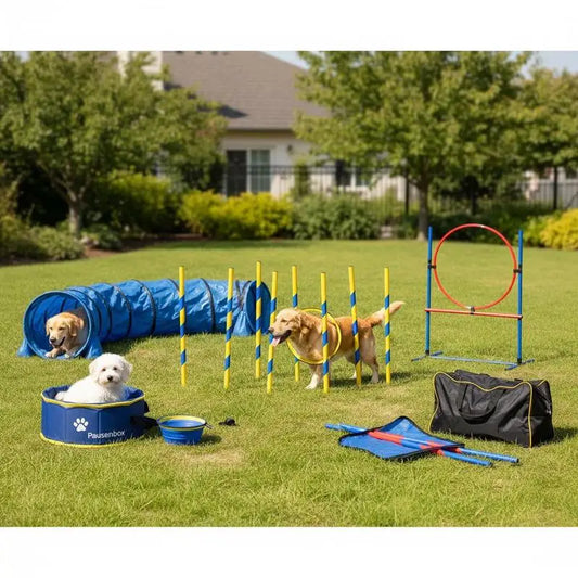 Adjustable Dog Agility Training Equipment Set With Tunnel And Poles