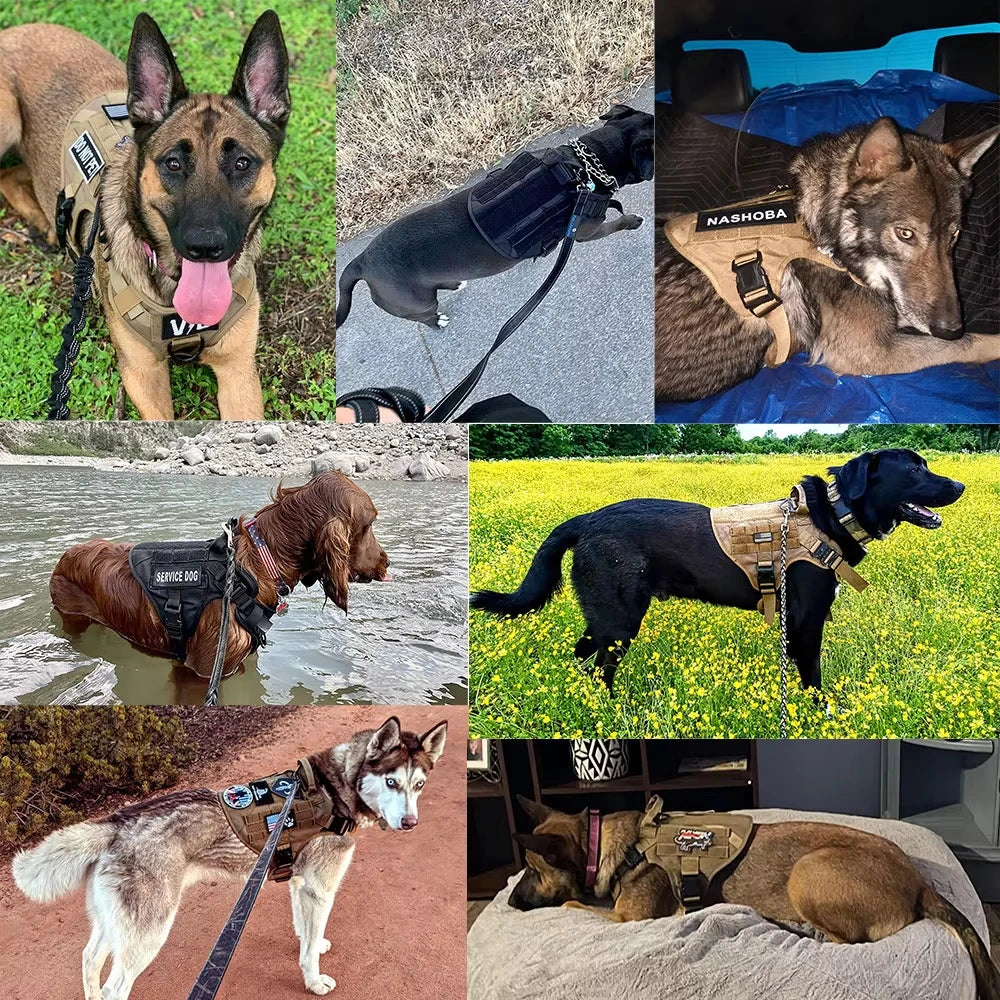 PetraVel Tactical Dog Harness Vest And Complete Accessory Set