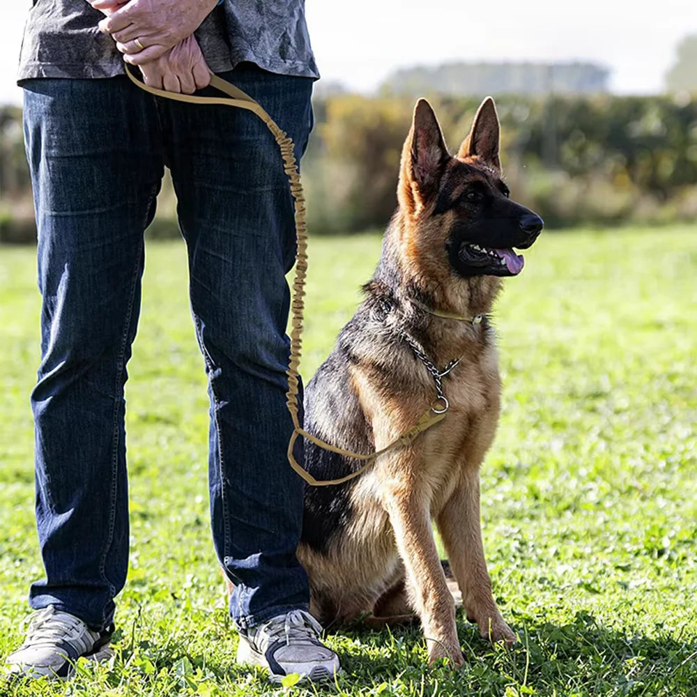 PETRAVEL Adjustable Military Dog Leash With Quick Release Control Handles