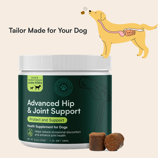 Advanced Dog Hip Joint Supplement Glucosamine Omega 3 MSM Chew