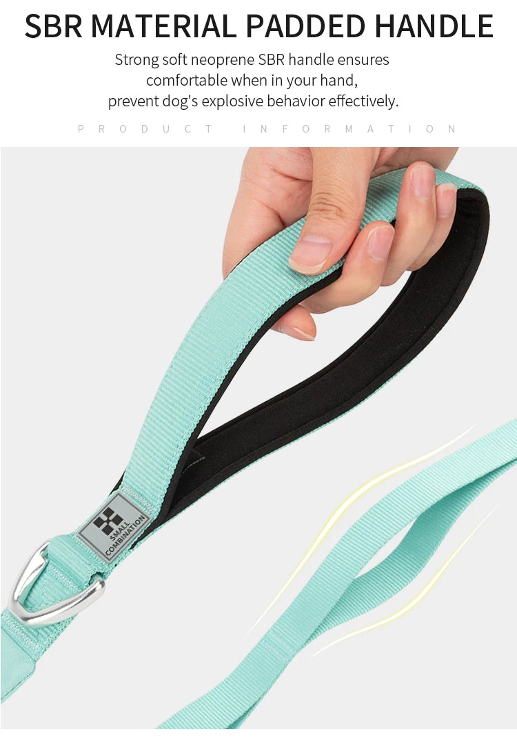 SMALL COMBINATION Reflective No Pull Dog Harness and Leash Set