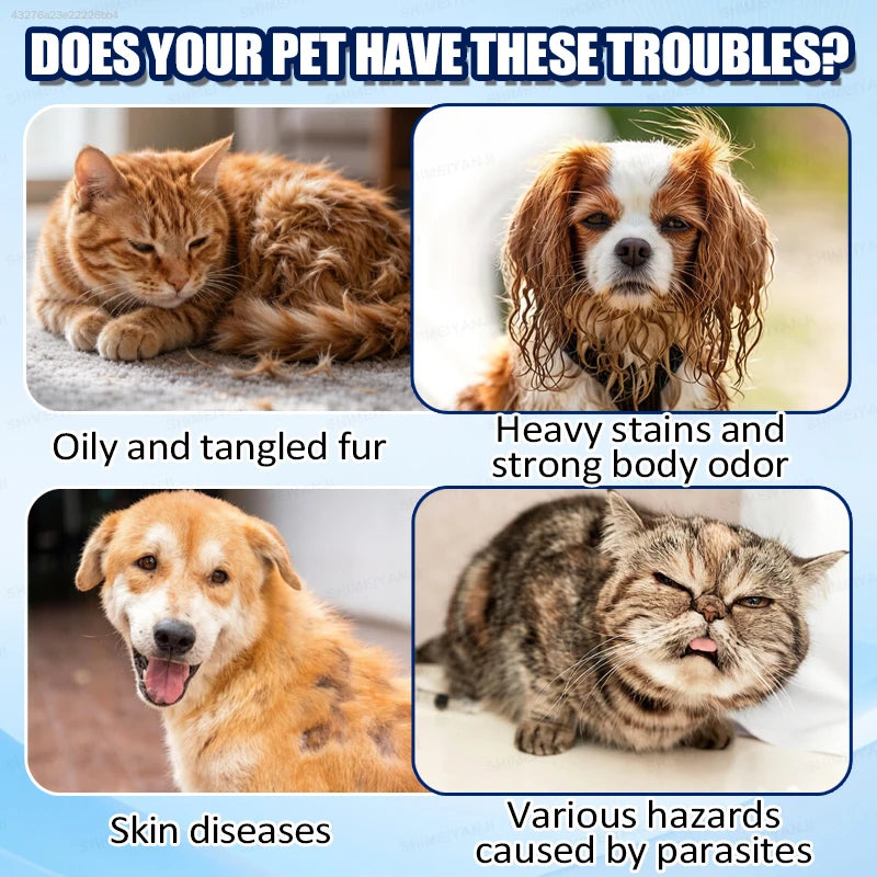 Gentle Moisturizing Cat And Dog Shampoo For Pet Odor Control
